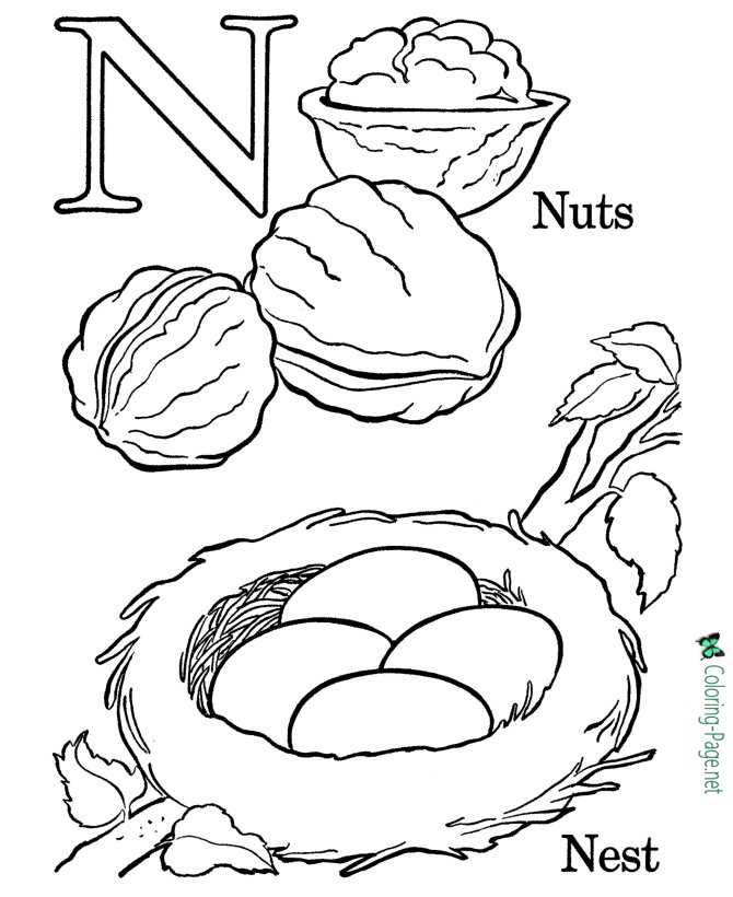N is for Nest Coloring Pages