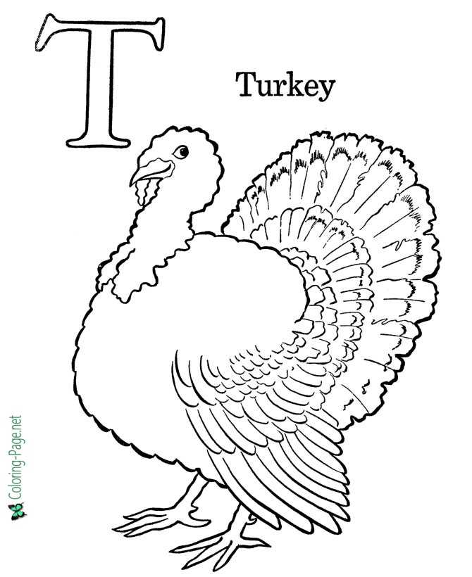 T is for Turkey - Alphabet Coloring Page