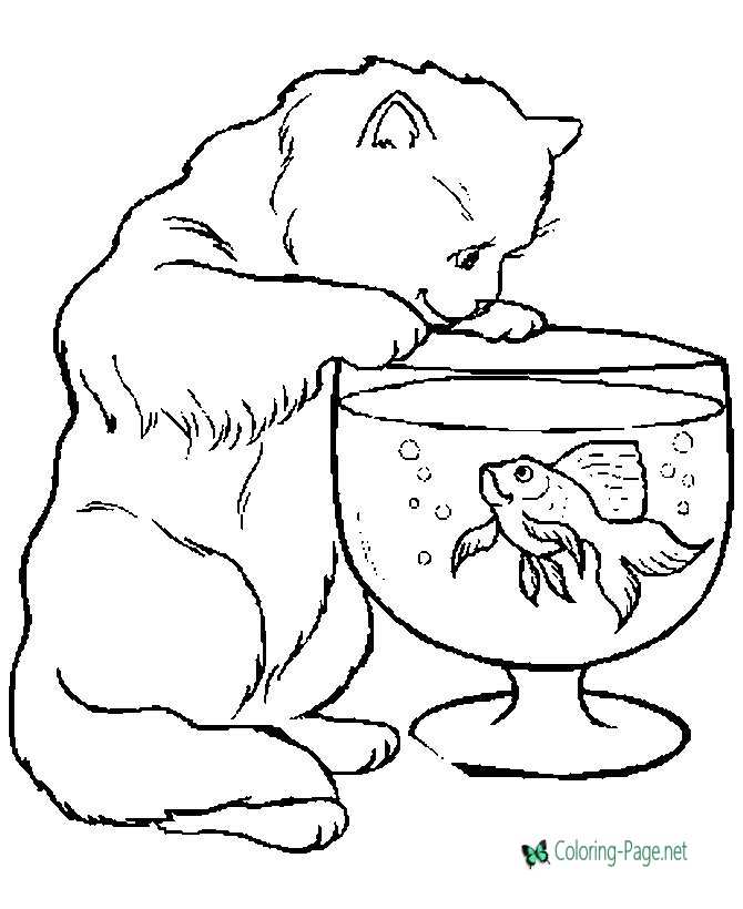 Cat and Fish - Animal Coloring Pages