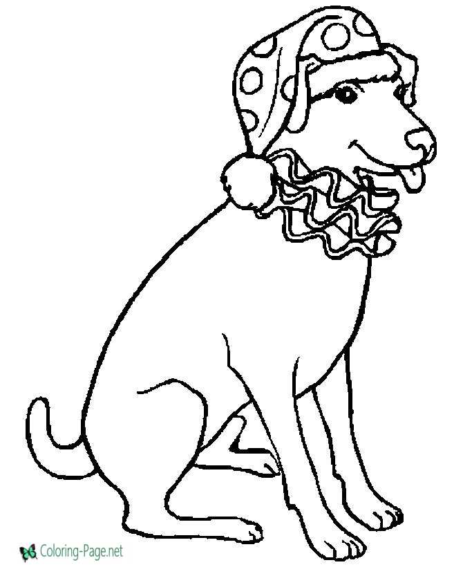 Clown Dog - Animal Coloring Pages