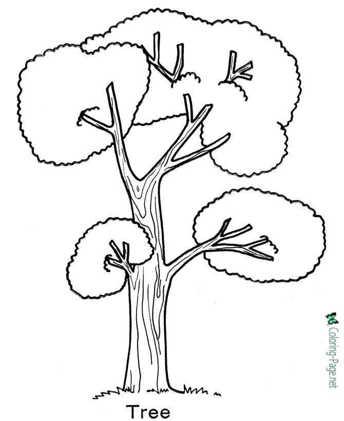 Arbor Day Tree Coloring Pages