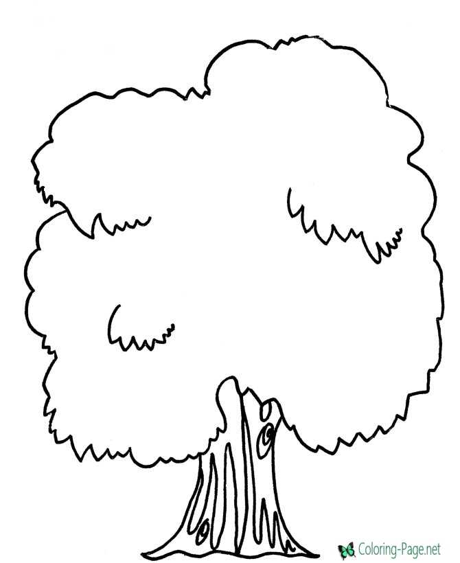 Color a Tree for Arbor Day