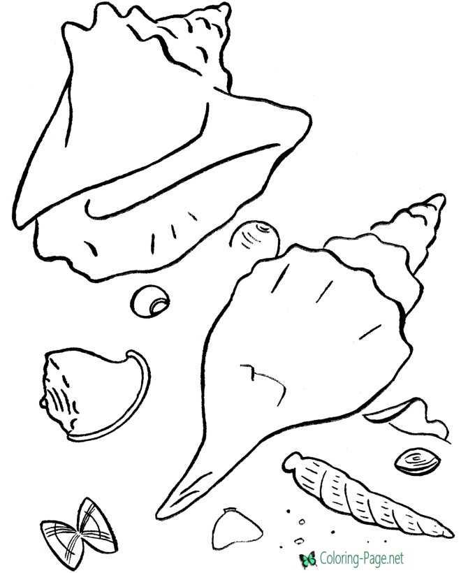 Sea Shell coloring pages