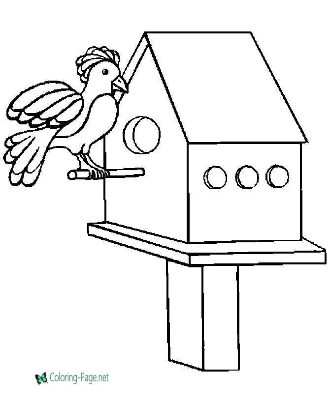 Bird House - Bird Coloring Pages