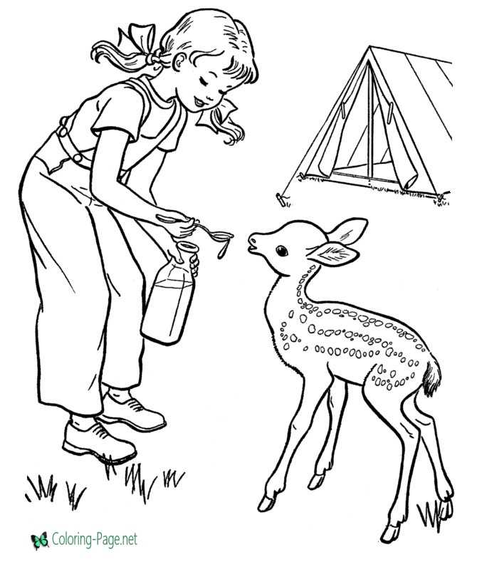Feeding Deer Camping Coloring Pages