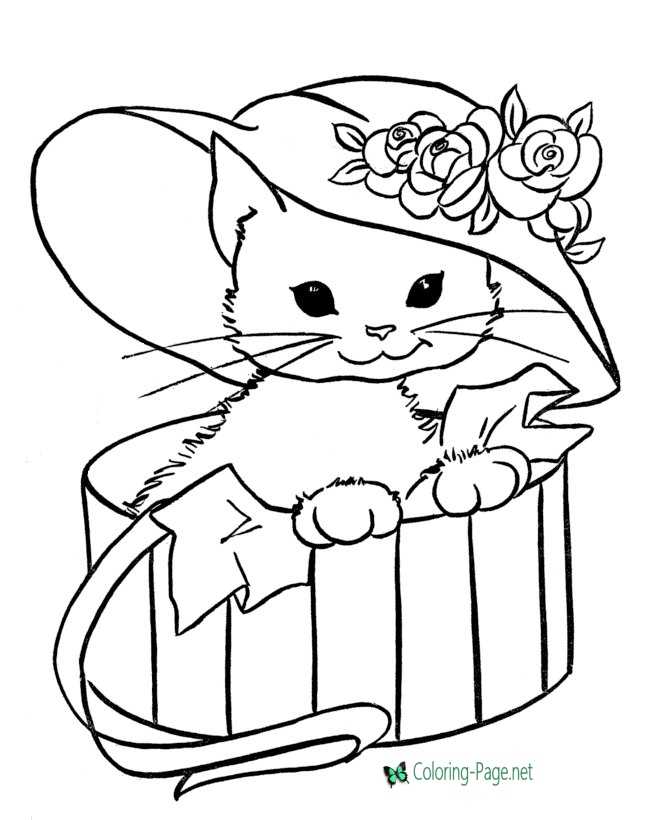 Cat in Hat - Cat Coloring Pages
