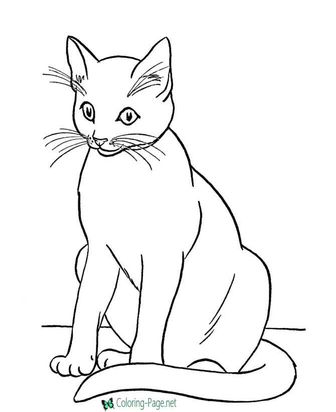 Siamese Cats Coloring Pages