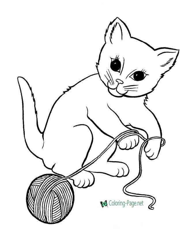 Kitten Coloring Pages Cat