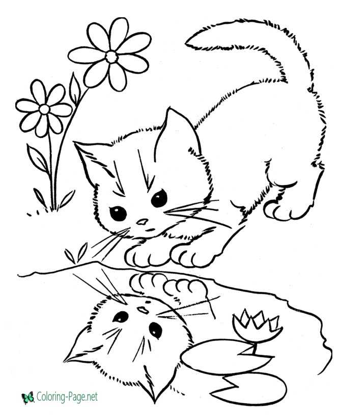 Flowers and Cat Coloring Pages