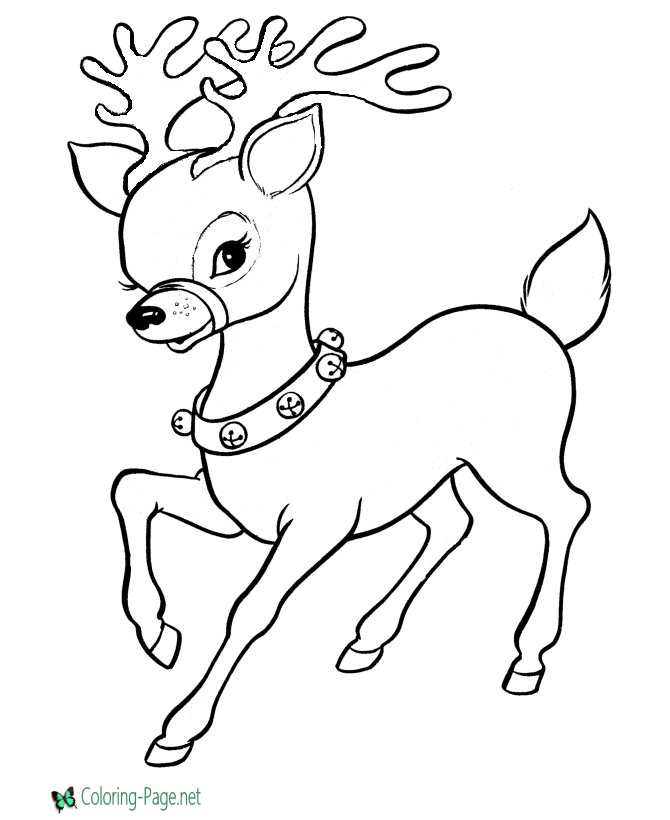 images of coloring pages - photo #16