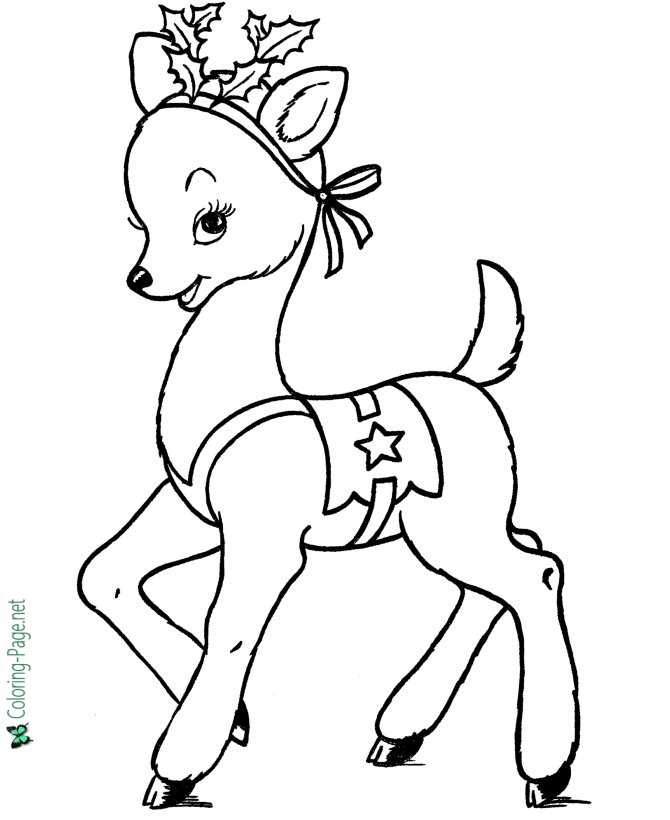 reindeer-coloring-page-for-kids-image-animal-place