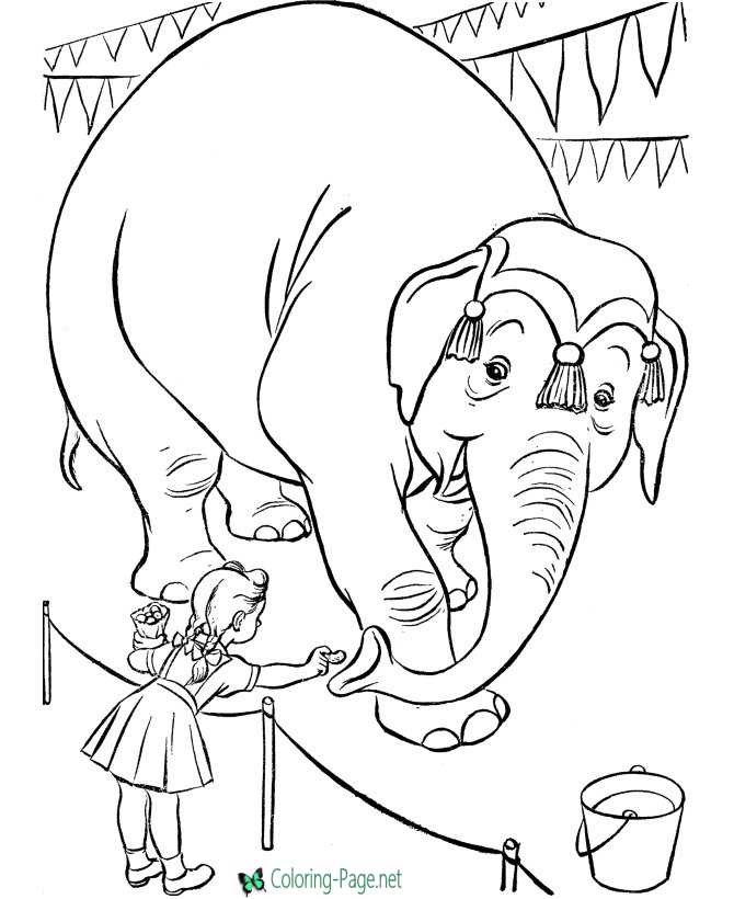 Elephant Circus Coloring Pages