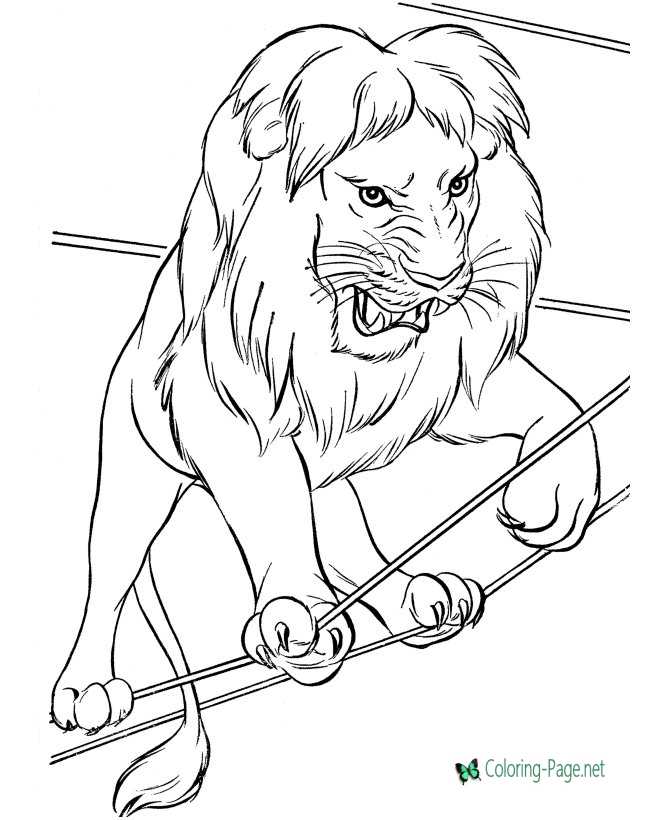 Lion Circus Coloring Pages
