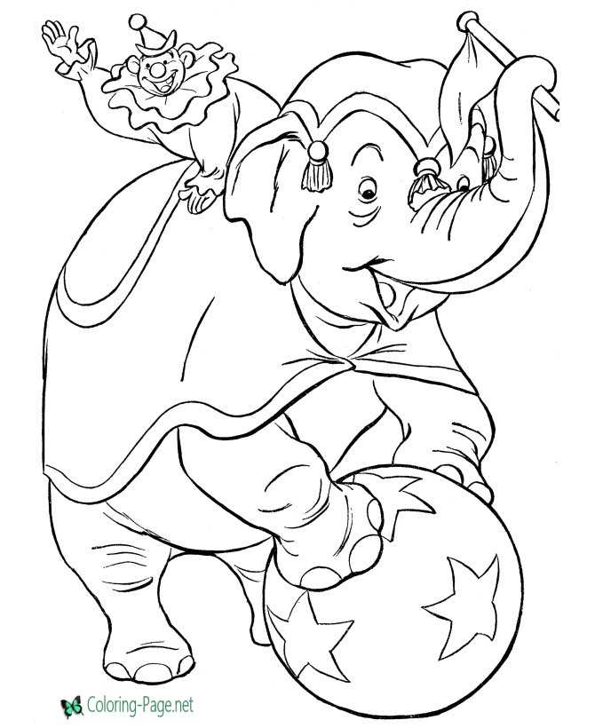 Elephant Act Circus Coloring Pages