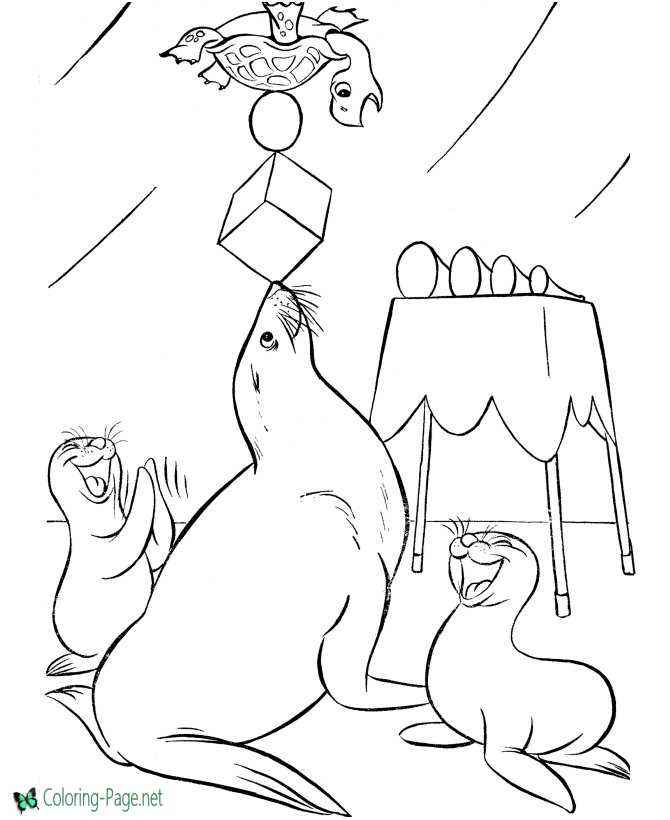 Trained Seals Circus Coloring Pages
