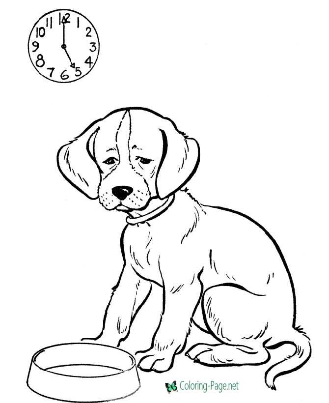 Dog Coloring Pages Feed the dog