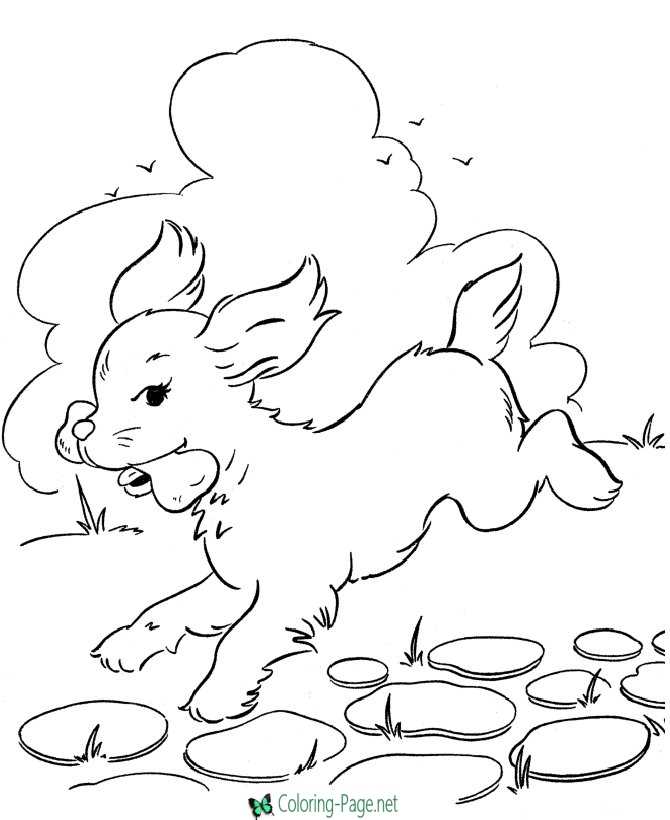dogs coloring picture