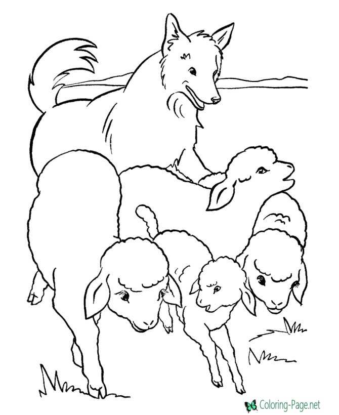 Farm Coloring Pages Dog and Sheep