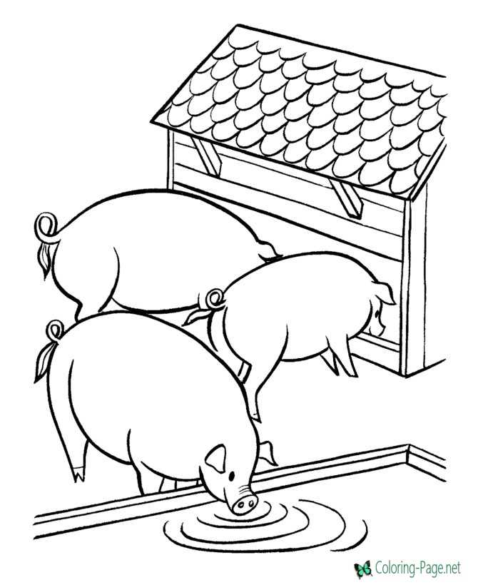 Farm Coloring Pages Three Pigs
