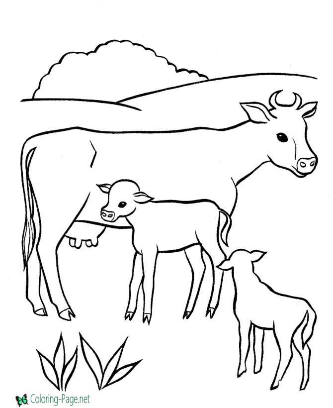 Farm Coloring Pages Cow and Calves