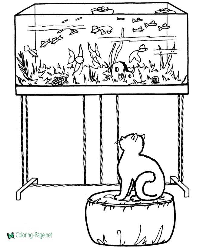 Fish Coloring Pages Cat Watching