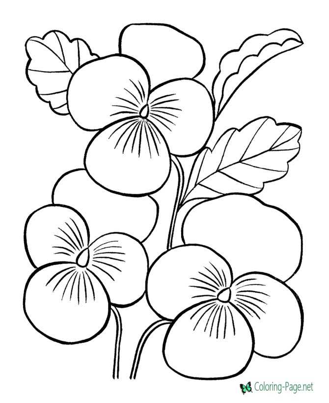 flower coloring page for kids