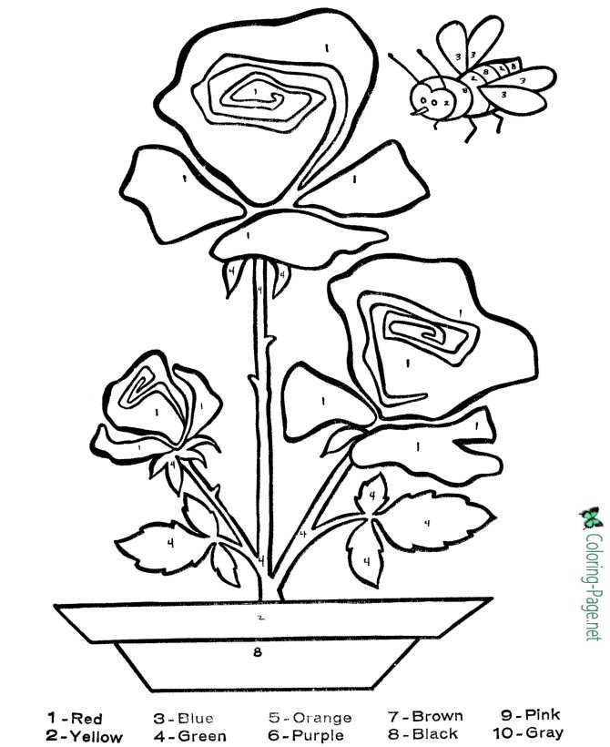 print and color flowers