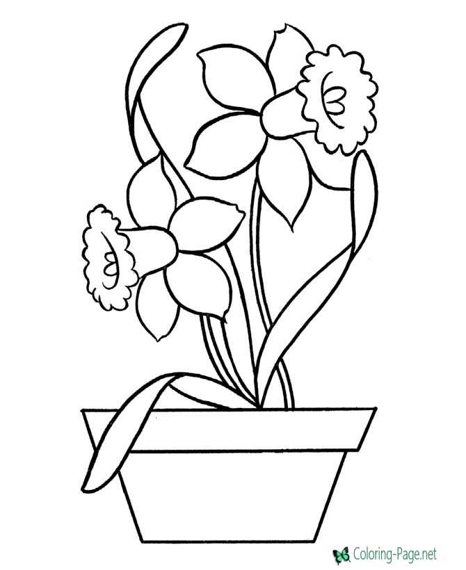 Flowers in Pot Flower Coloring Pages