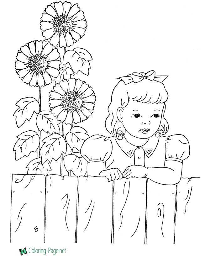 Flower Coloring Pages Sun Flowers