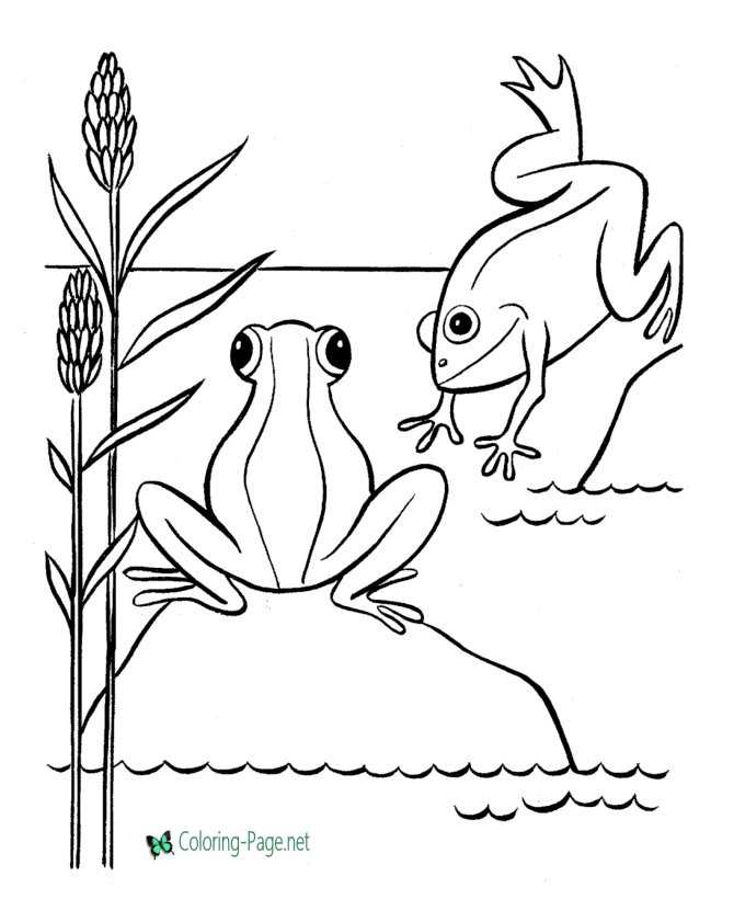 kids frog coloring page