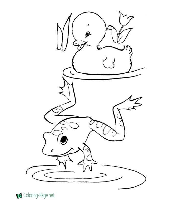 frog coloring pages for children