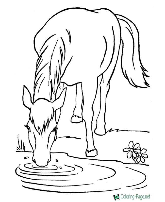 Horse Coloring Pages Wild Horses