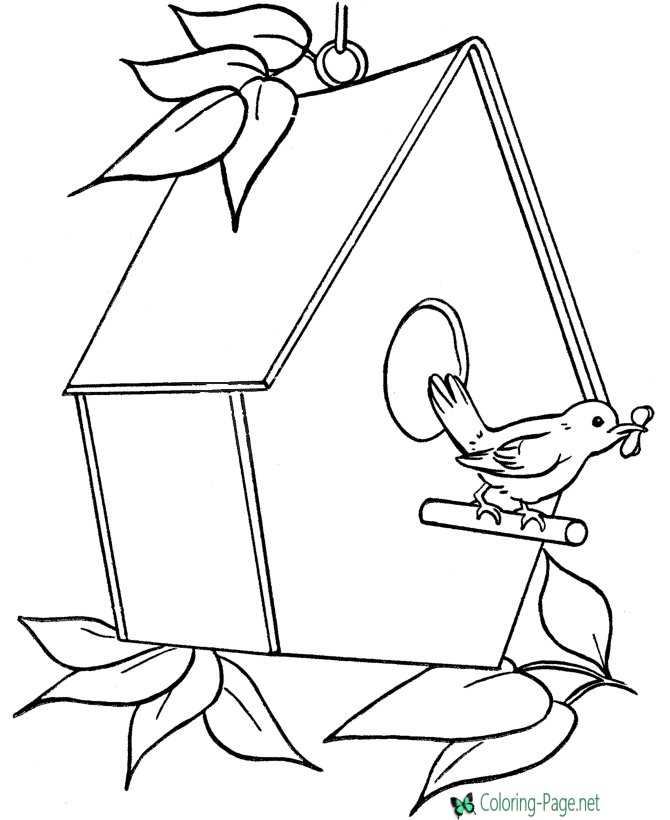 Bird House Coloring Pages