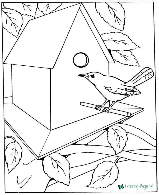 Bird House Coloring Pages to print