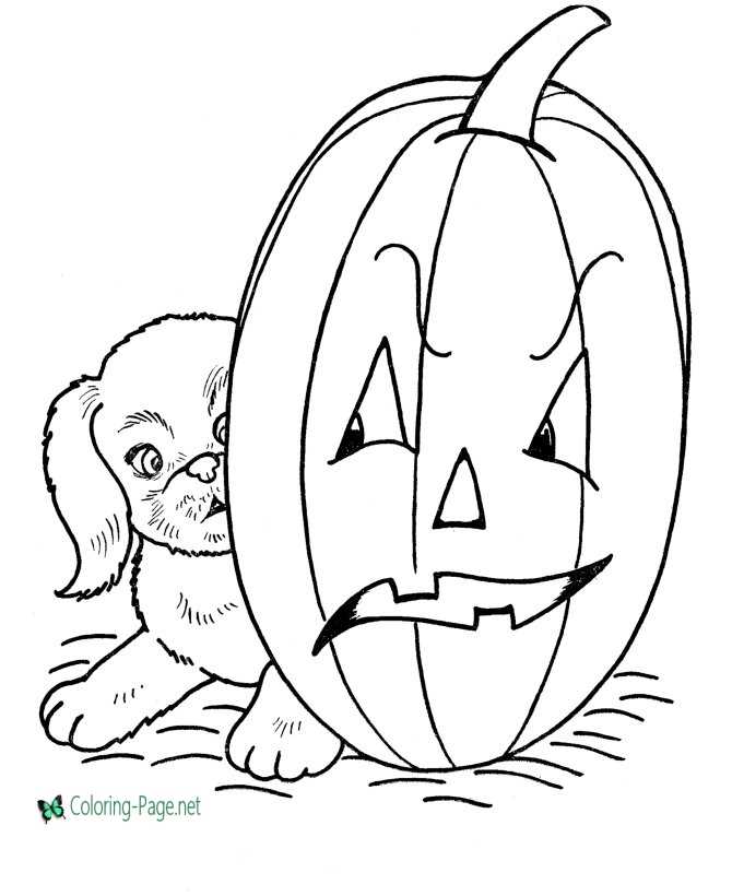 Dog and Jack O Lantern Coloring Pages