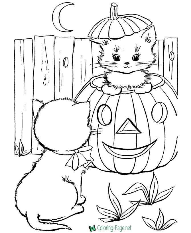 Kittens and Jack O Lantern Coloring Pages