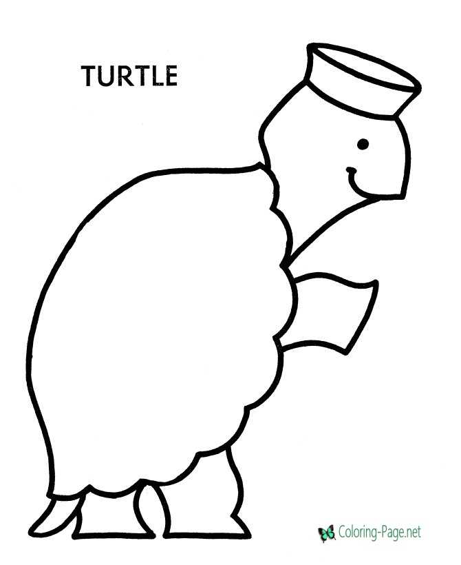 Preschool Coloring Pages Turtle to Color