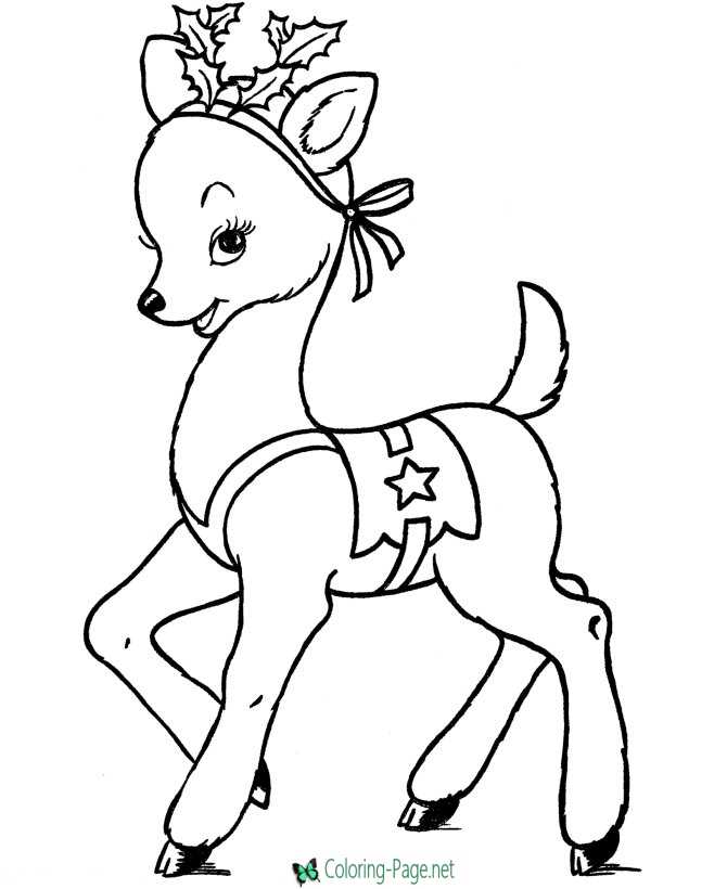 Print and Color Reindeer Coloring Pages