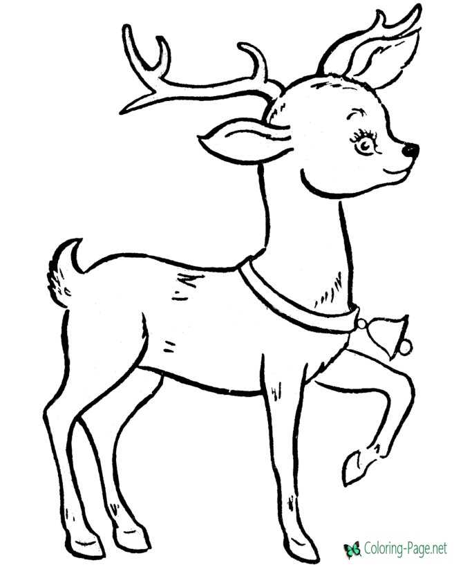reindeer coloring page