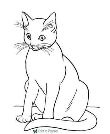 Animal coloring pages of Cats