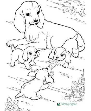 Animal coloring pages of Dogs