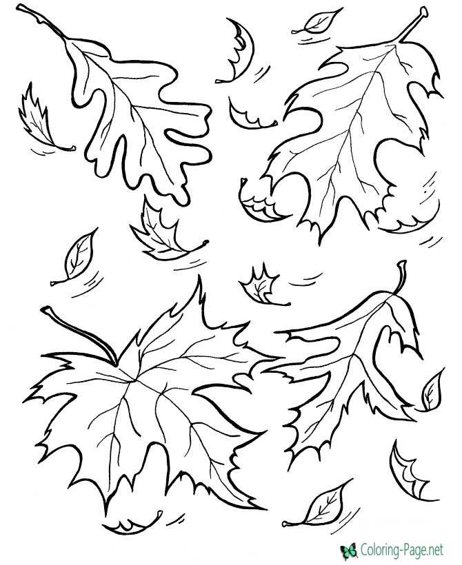 tree leaves coloring page
