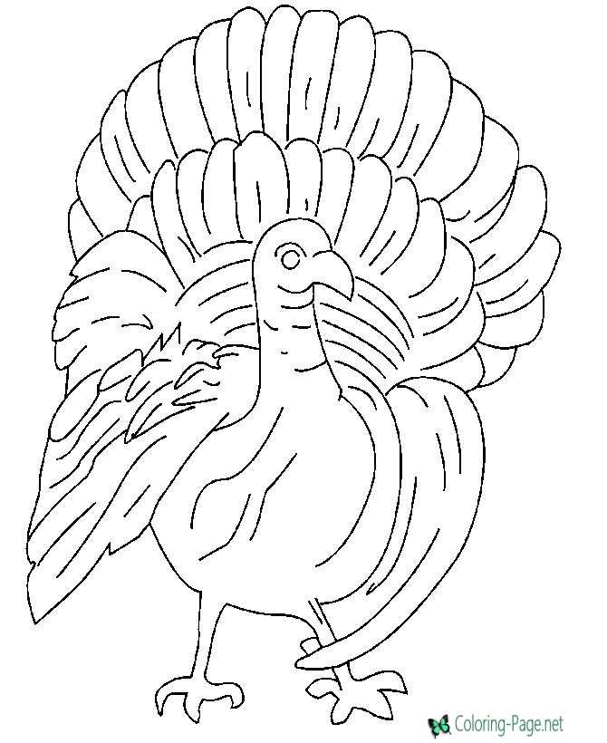 Turkey Coloring Sheets and Pages