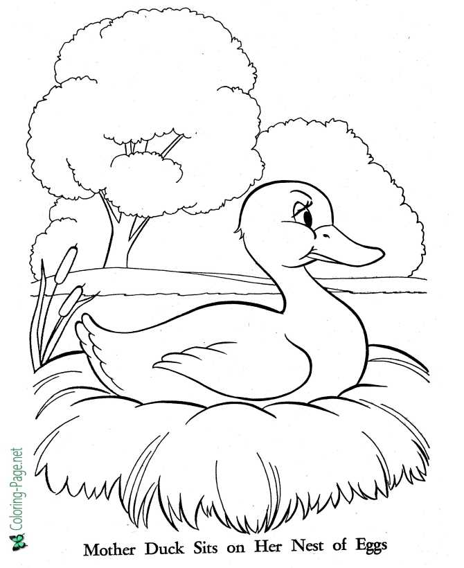 The Egg Hatches - Ugly Duckling coloring page