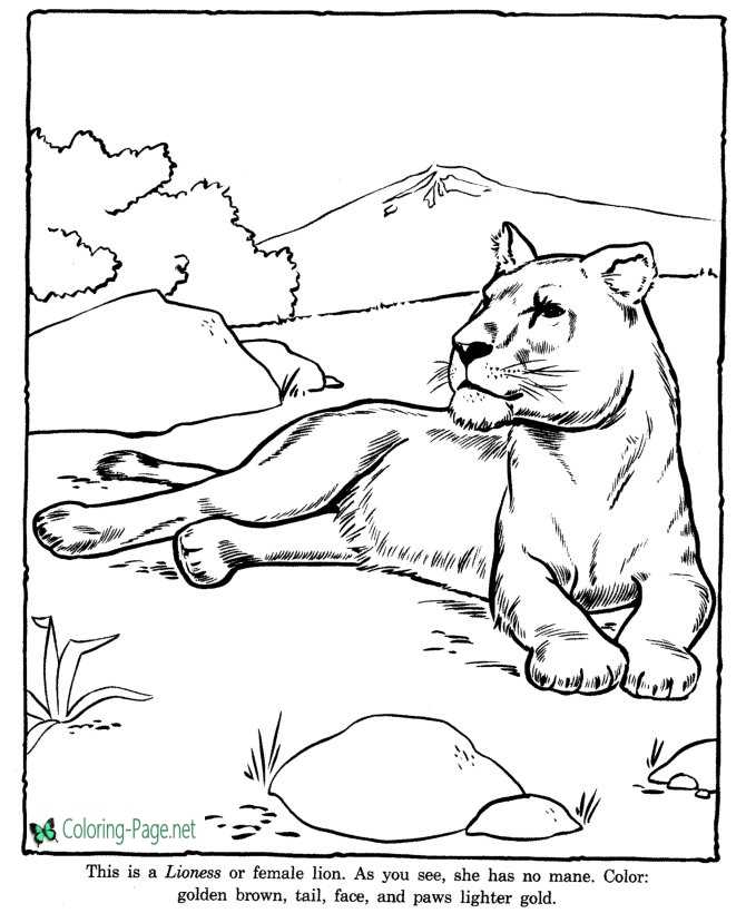 zoo kids coloring page