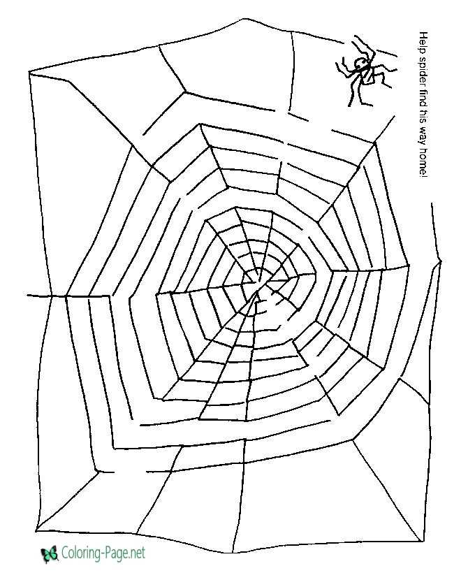 Printable Mazes Spider Maze