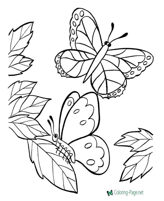 Butterflies to Print and Color