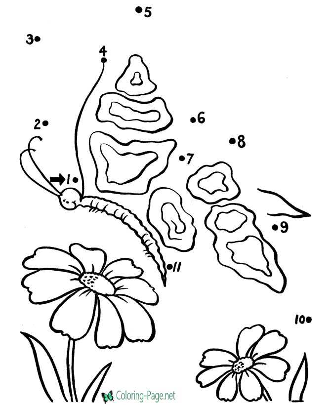 Butterfly Coloring Page with Flowers
