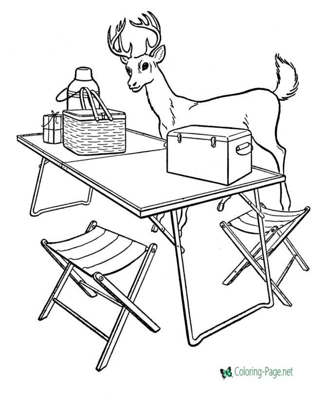 Camp Table Camping Coloring Pages