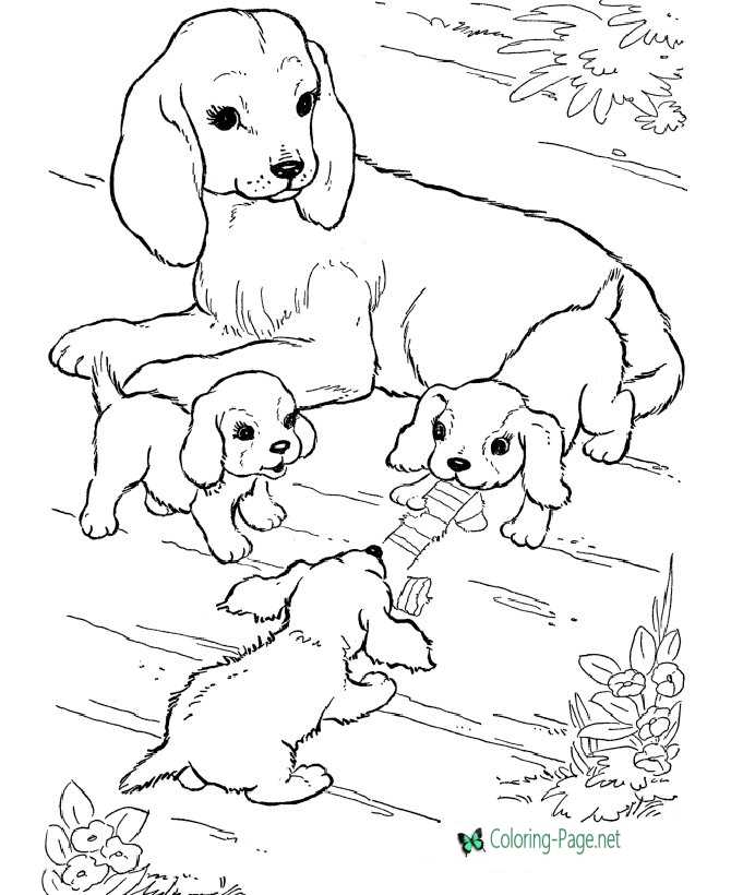 Dogs and Puppies Dog Coloring Pages